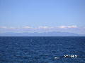s_PICT0098s.png